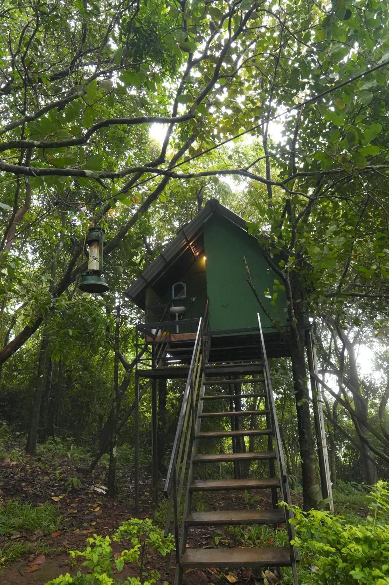 Regina Silva Camping & Nature Resort Paithalmala المظهر الخارجي الصورة
