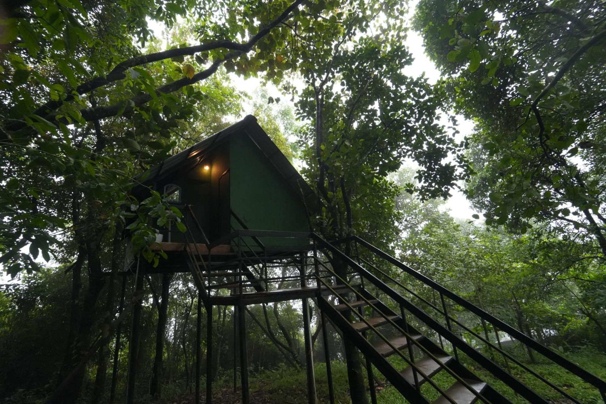Regina Silva Camping & Nature Resort Paithalmala المظهر الخارجي الصورة